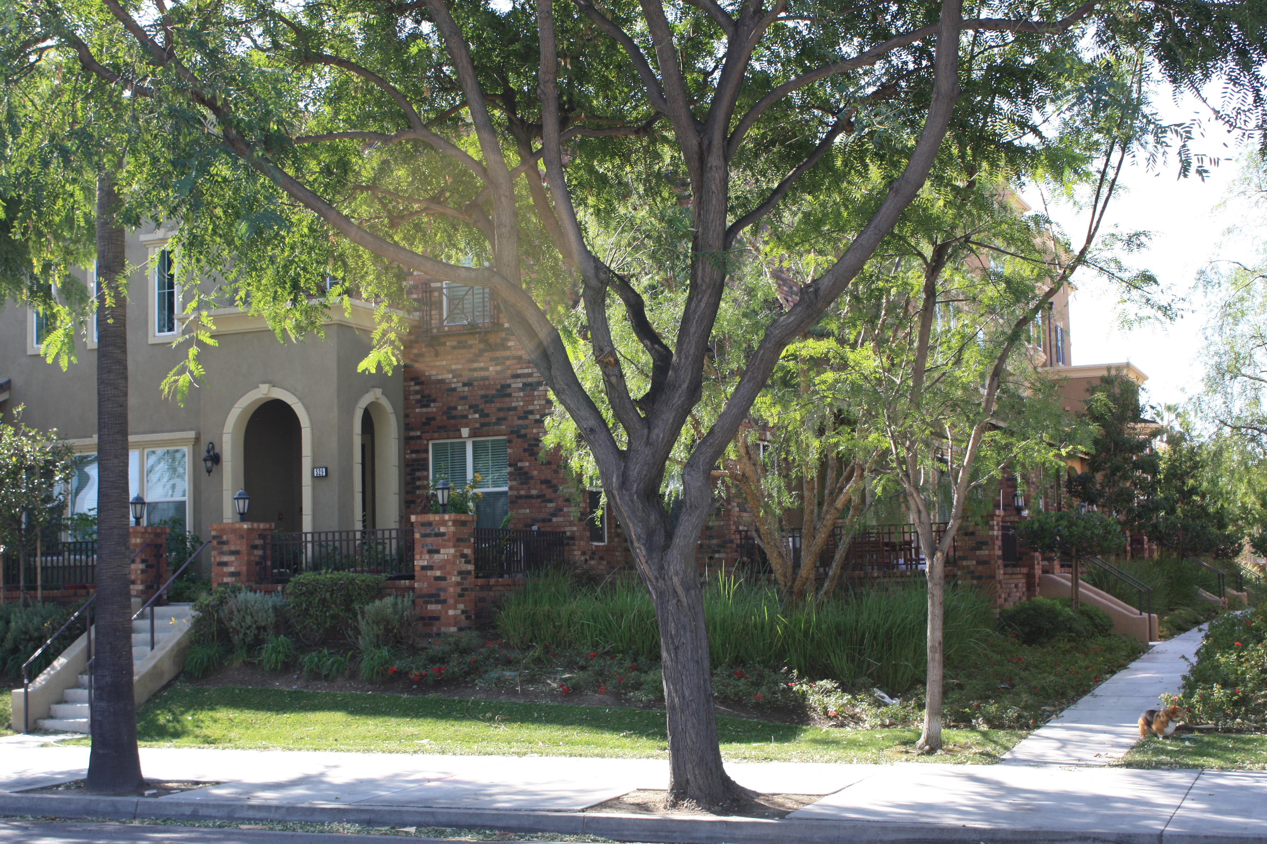 Anaheim Townhomes